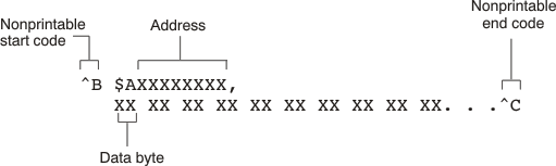 ASCII-Hex Object
Format ascii_hex_tdz079.gif